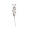 CC Home Furnishings 43" Decorative Winter Frosted Artificial Pinecone and Twig Spray